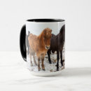 Zoek naar ijslandse paarden mokken Pony