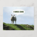 Zoek naar grappige schapen briefkaarten Ooien