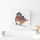 Zoek naar zangvogel klokken Geboorte