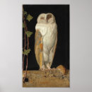 Zoek naar uil afbeeldingen posters Dier