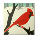 Zoek naar cardinals tegels Rood