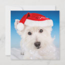 Zoek naar kerstkaart westie kaarten Schattige honden