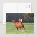 Zoek naar oldenburg briefkaarten Bob langers