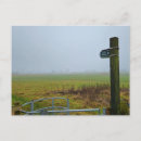Zoek naar voetpad briefkaarten Landschap