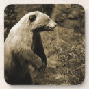Zoek naar grizzly onderzetters Vintage