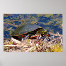 Zoek naar geschilderd kunst Foto