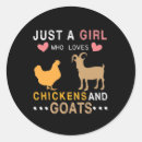 Zoek naar grappige kuikens stickers Rooster