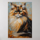 Zoek naar perzische kat posters Voor huisdieren