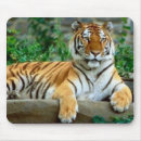 Zoek naar tijger mousepad muismatten Katten