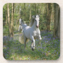 Zoek naar paarden onderzetters Ruitsport