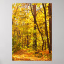 Zoek naar herfstbos posters Bladeren