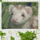 Zoek naar fretten keuken handdoeken Elk persoon