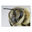 Zoek naar ongewervelden briefkaarten Close up uitzicht