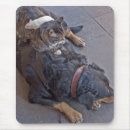 Zoek naar rusten muismatten Dieren