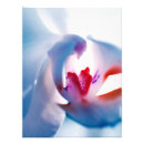 Zoek naar spirituele giften posters Elk persoon
