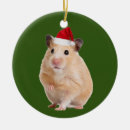 Zoek naar hamsters ornamenten Xmas