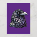 Zoek naar raven briefkaarten Veren