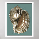 Zoek naar zeeslag posters Seashell