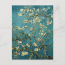Zoek naar almond blossom briefkaarten Post impressionist