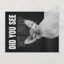 Zoek naar sarcastische humor briefkaarten Voor iedereen