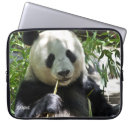 Zoek naar panda hoesjes Wild dier
