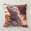 Zoek naar lizards kussens Dieren