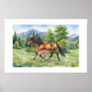 Zoek naar veulen posters Pony