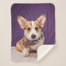 Zoek naar pembroke corgi dekens Canine