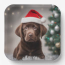 Zoek naar bruine borden Grappig