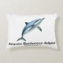 Zoek naar atlantisch kussens Zee