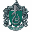 Zoek naar slytherin sleutelhangers Haringpotter