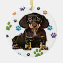 Zoek naar dachshund ornamenten Xmas