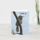 Zoek naar winterkoninkje posters Vogel