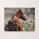 Zoek naar bruine paarden puzzels Elk persoon