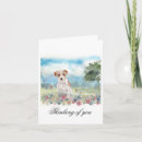 Zoek naar jack russell terrier briefkaarten Waterverf