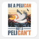 Zoek naar pelikanen stickers Dier
