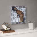 Zoek naar hond foto klokken Voor hem