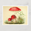 Zoek naar paddestoelen briefkaarten Botanisch