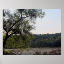 Zoek naar moerassen posters Voor haar