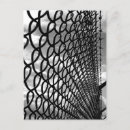 Zoek naar witte schors briefkaarten Voor iedereen