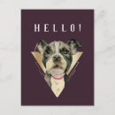 Zoek naar pitbull briefkaarten Puppy