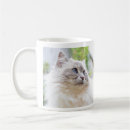 Zoek naar ragdoll cat mokken Schattig