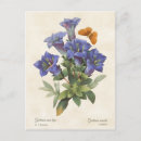 Zoek naar gentiaan posters Botanisch