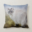 Zoek naar ragdoll kat kussens Katje