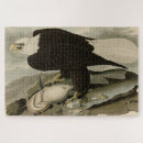 Zoek naar audubon puzzels Vogel