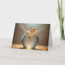 Zoek naar grappige goudvis posters Oranje