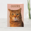 Zoek naar apology kaarten Kat