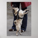 Zoek naar controle humor posters Grappig