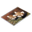 Zoek naar rode panda notitieboeken China