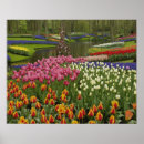 Zoek naar keukenhof tuin posters Landschapsarchitectuur